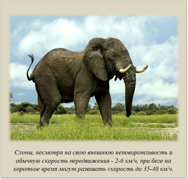20 фактов обо всем
