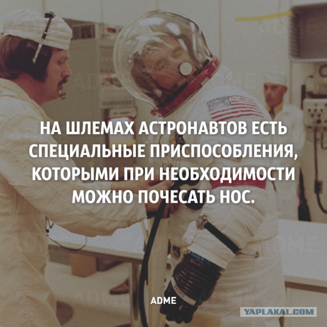 Немного фактов о нашем мире