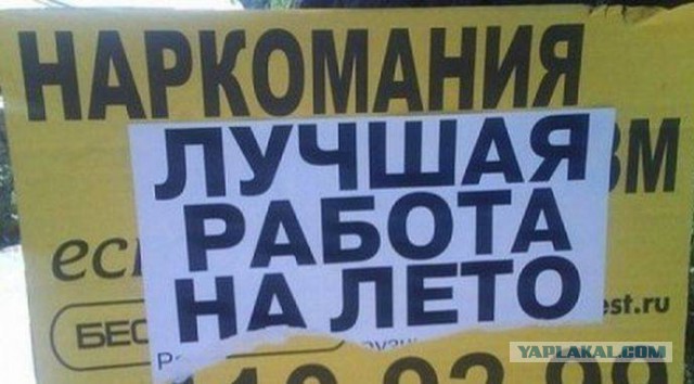 Прикольные картинки из сети