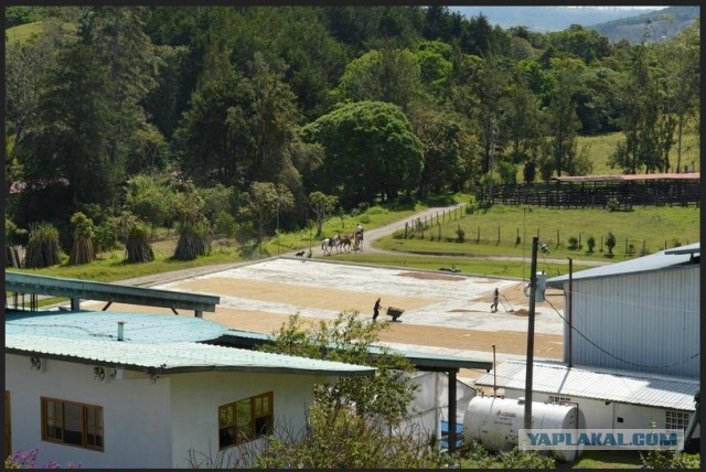 Исчезновение и трагическая гибель Лисанн Фрон и Крис Кремерс