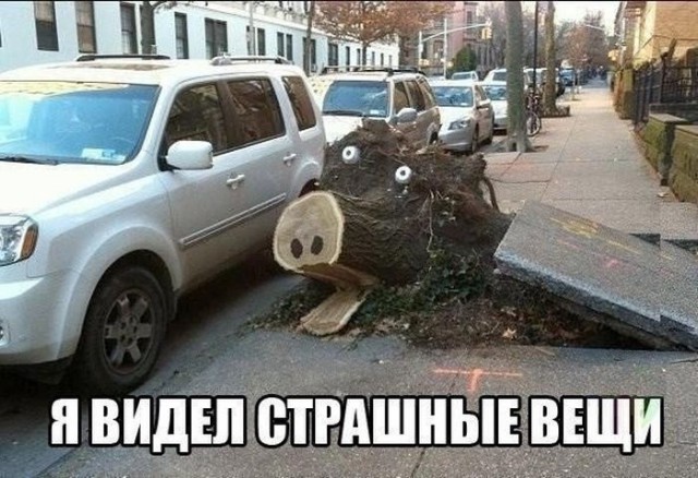 В преддверии упоротой пятницы