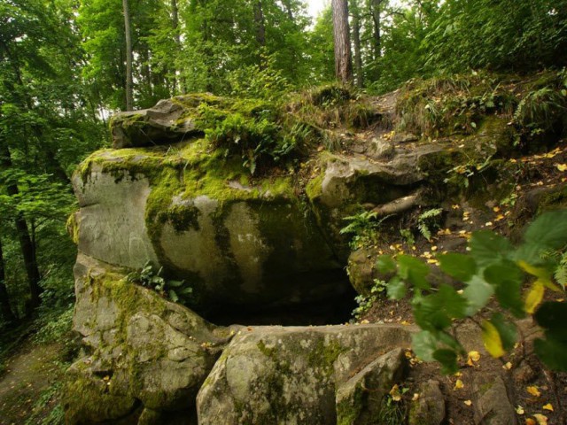 Моменты, запечатлённые на фото и просто позитив 5