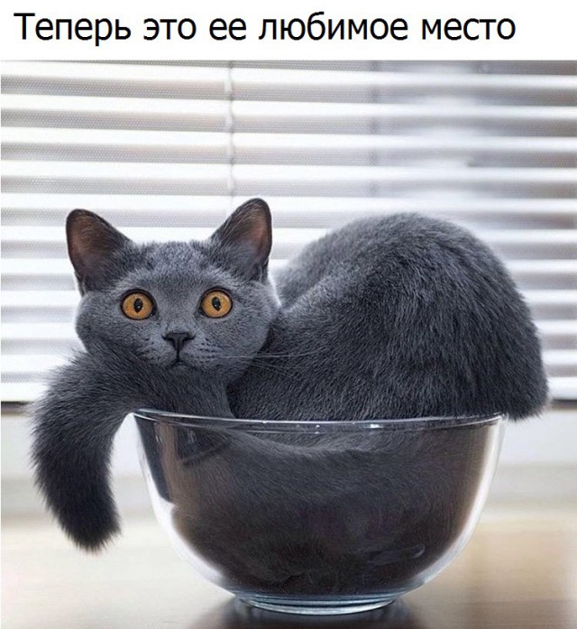 Картинки всяко-разные