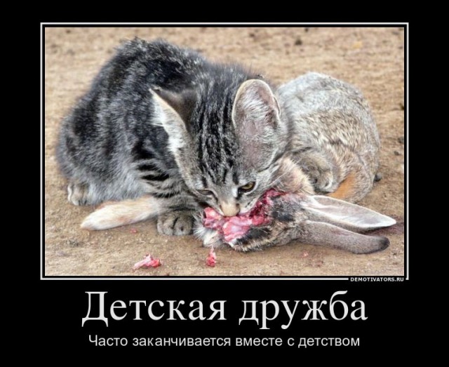 Поляна чёрного юмора и цинизма