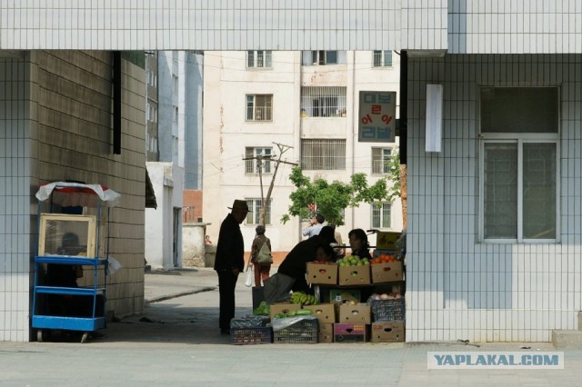 Пламенный репортаж телевидения КНДР о начале священной войны с американскими сумасбродами