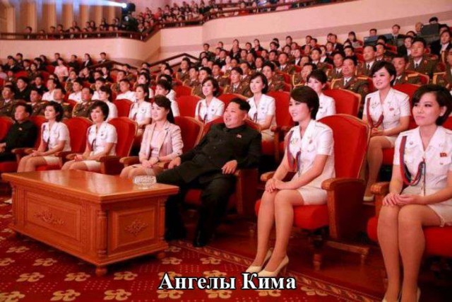 Картинки