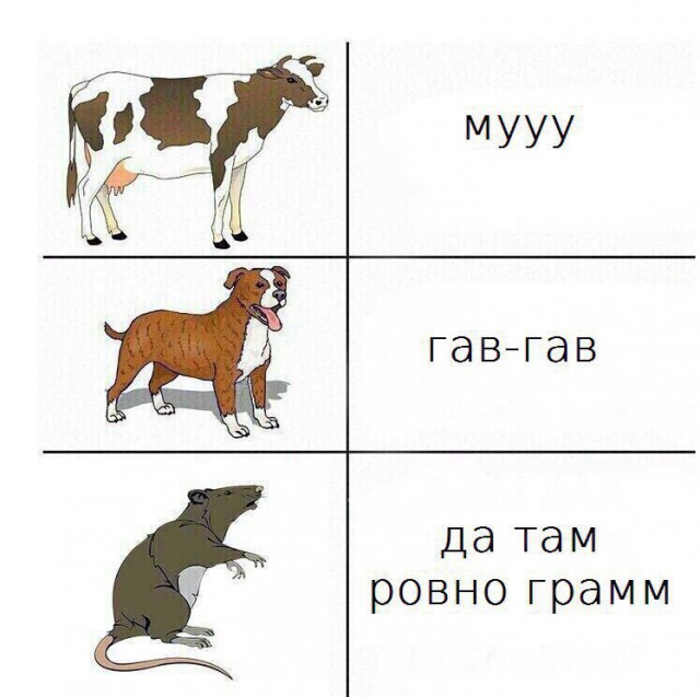 Люди, вы чё, Опять?