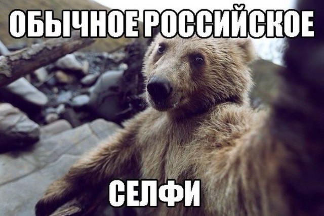 Забавные фото с надписями