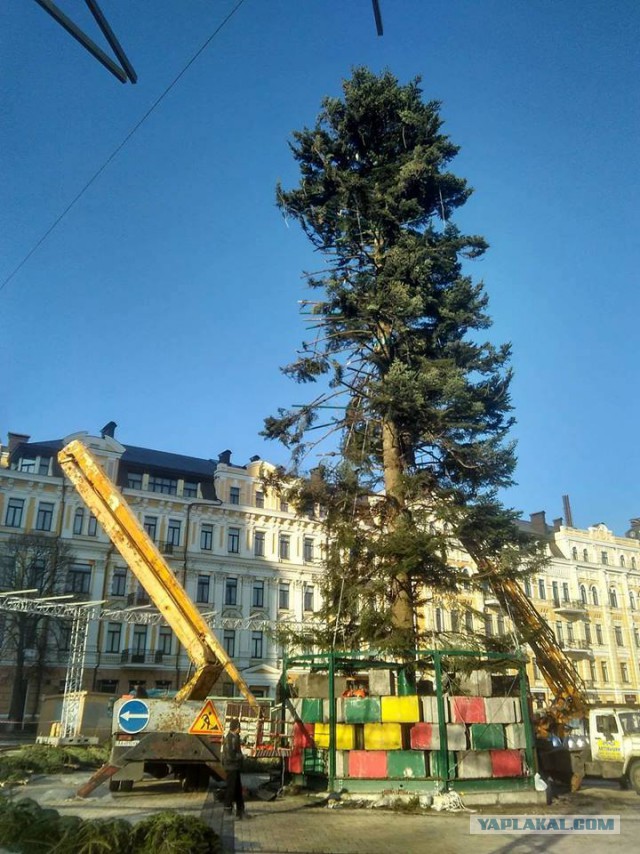 Рейтинг «самых ужасных» рождественских ёлок