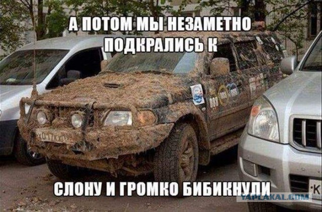Смешные комментарии из социальных сетей 24.08.2018