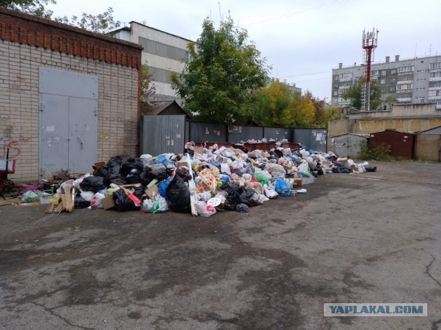 Челябинск завален мусором