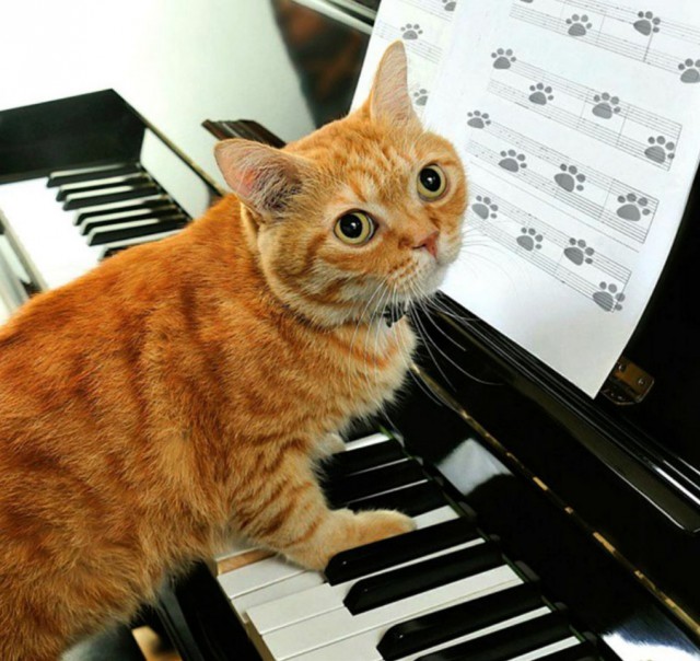 Немного милоты