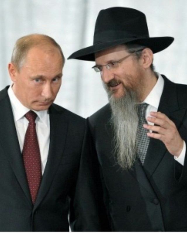 Овцы