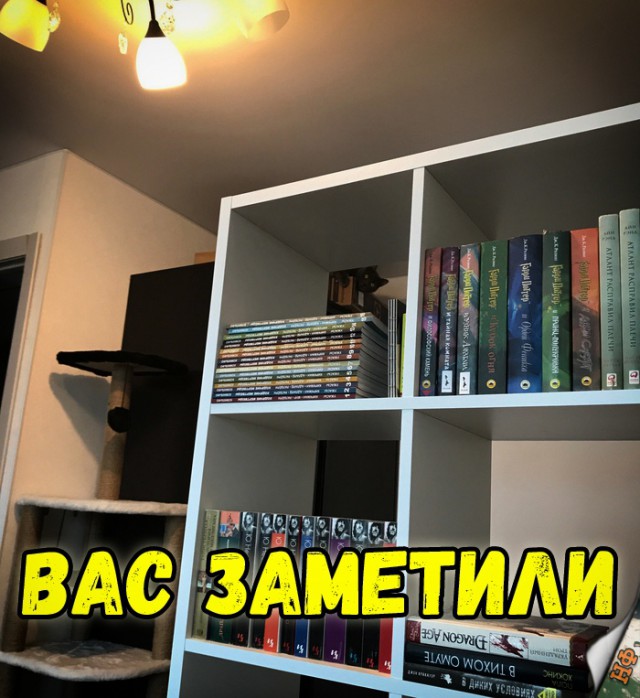 Нестандартный юмор