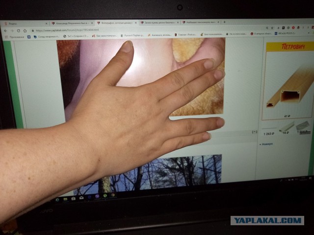 Фотографии, которые докажут, что вы видели еще не все