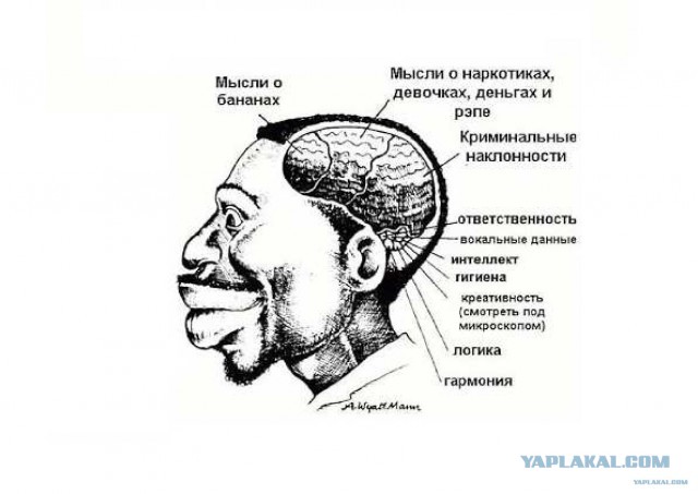 “Русские богатыри” на UFC