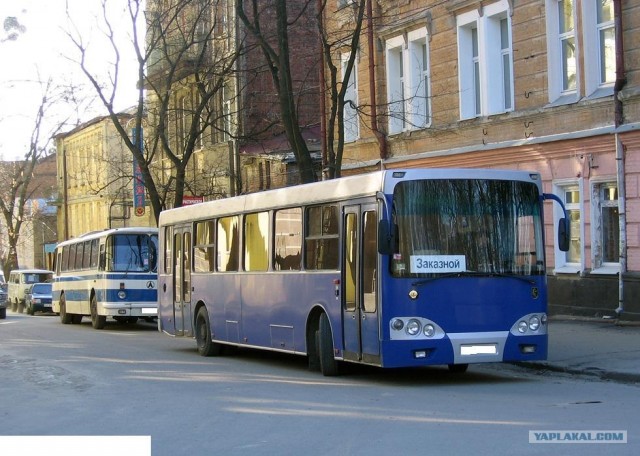 Игра на ЯПе: Угадай АВТО-5