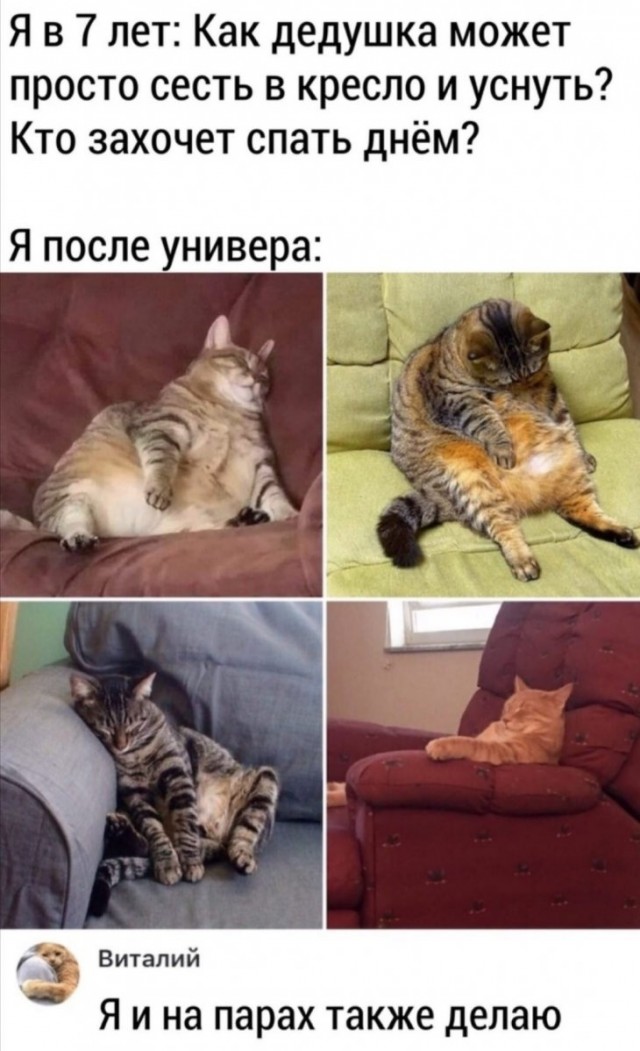 Немного картинок для настроения 14.03.20