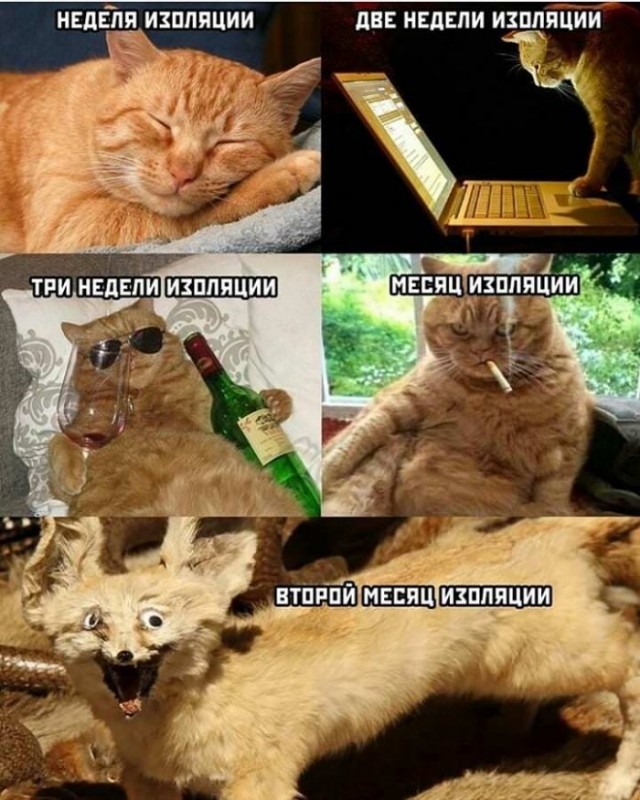 Немного картинок для настроения 22.05.20