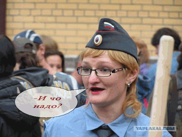 Фотожаба: Наши доблесные органы