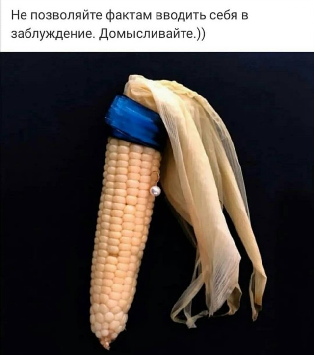 Бредзона 01.09.2020