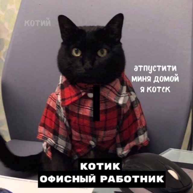 Пятница. И немного слегка пошлых картинок с надписями и без 16+ (25.09)