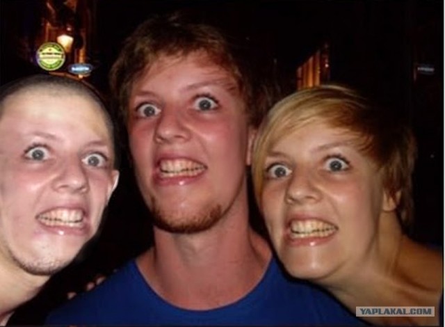 Вытянулась: картинка и 2 жабы