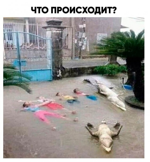 Бредзона 08.02.2021
