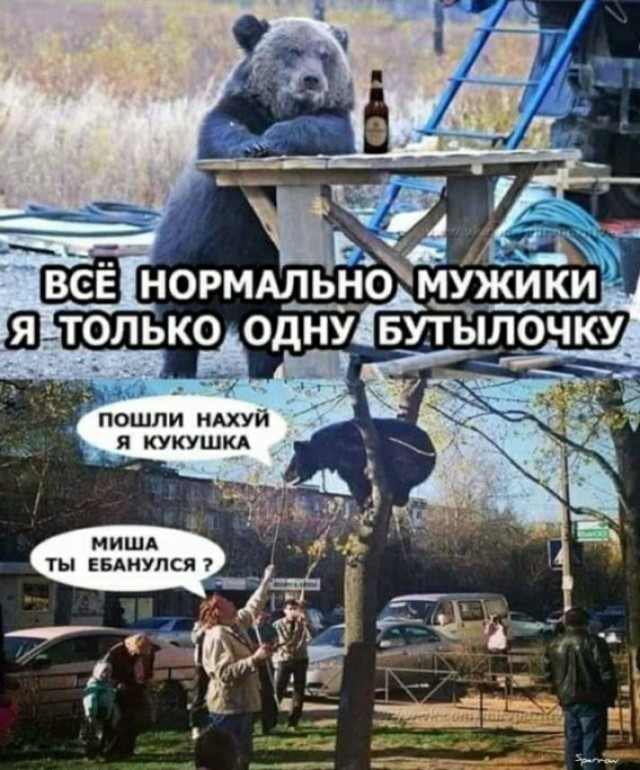 Бредзона и не только