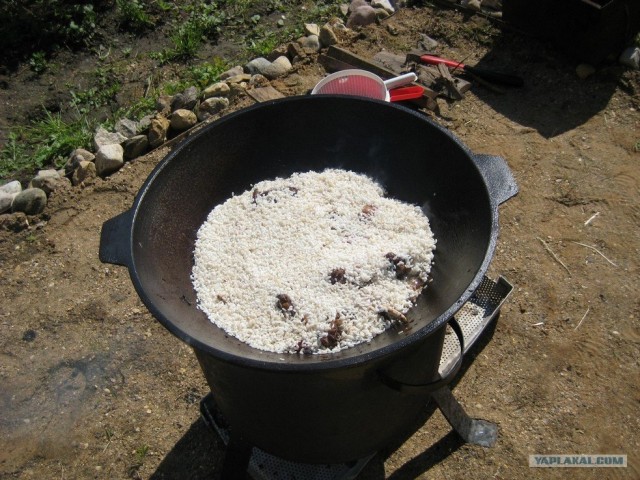 Пловские старания, ... эпическое полотно о Плове...