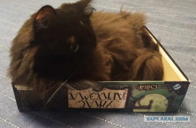 Настольные игры