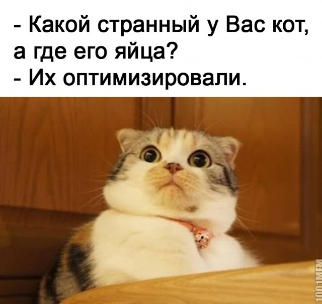 Так себе картинки 27.11.21