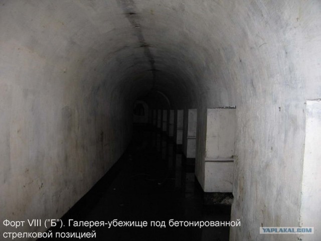 Форты Бреста