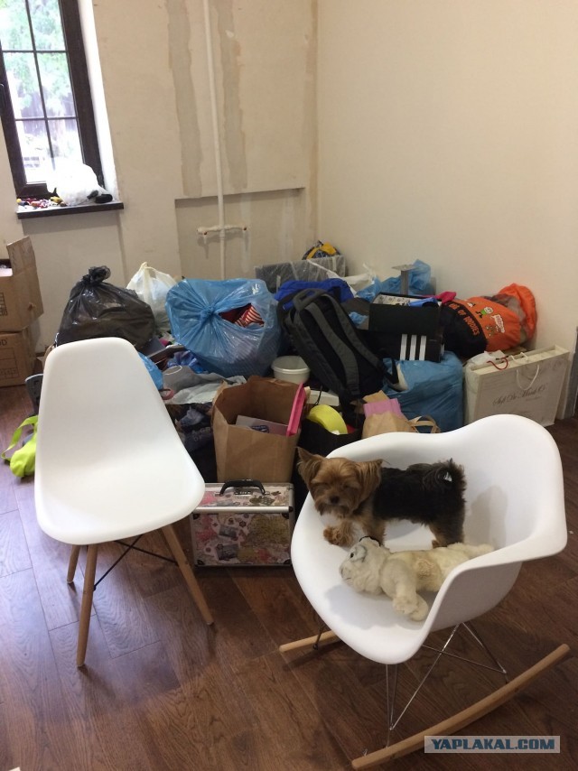 Ремонт квартиры с минус десяти