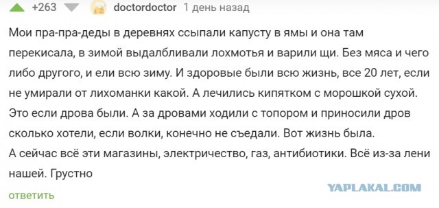 В 93% российских ветклиник испытывают дефицит препаратов и вакцин