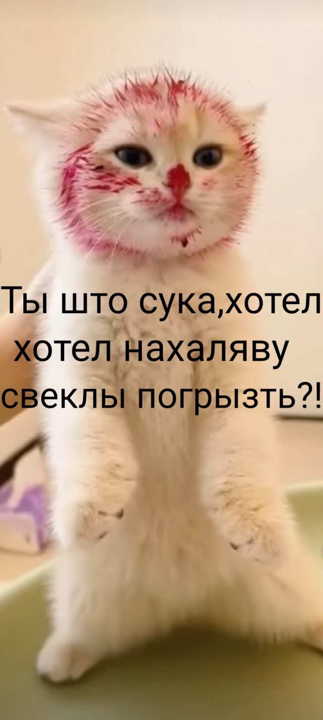 Муж затейник