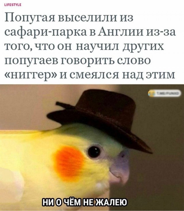 Немного забавных картинок