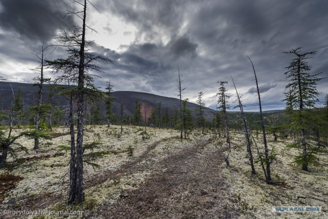 Сплав по реке Котуйкан.