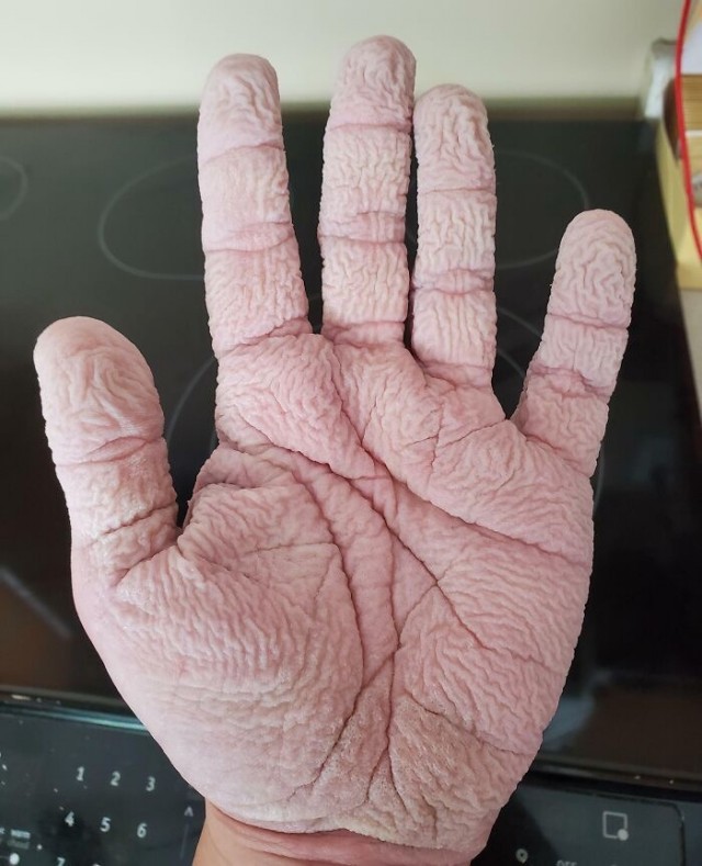 33 удивительных и уникальных фотофакта со всего мира
