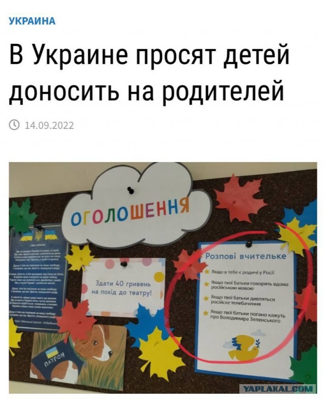 Напиши донос на родителей за критику президента.