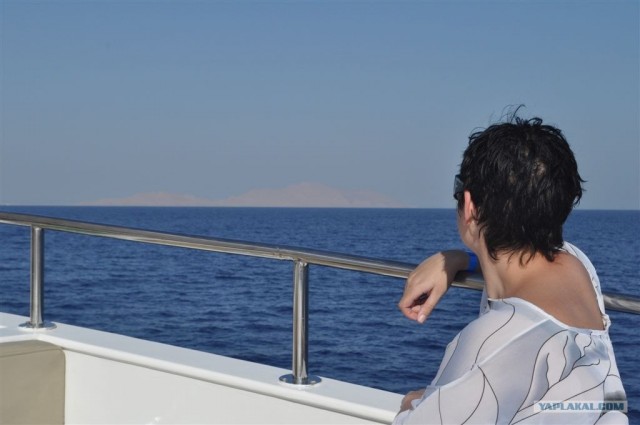 Как я ездил в Египет