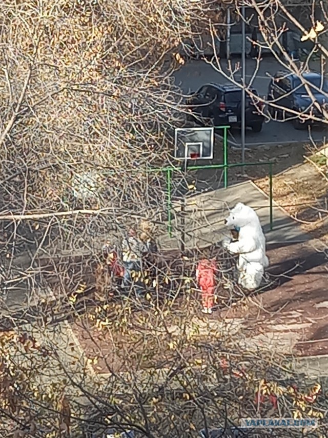 Немного позитива