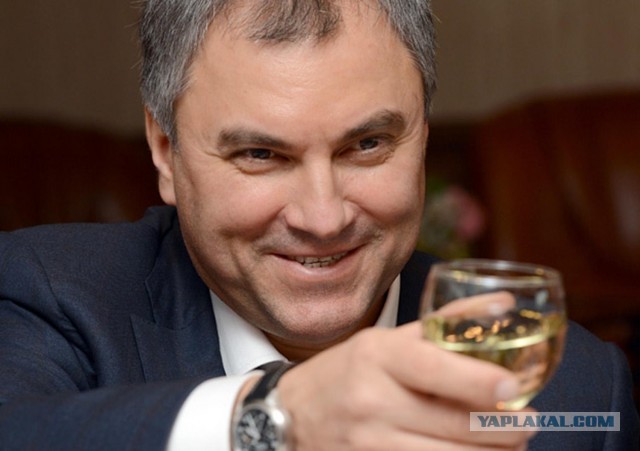 Володин предложил повысить зарплаты депутатам