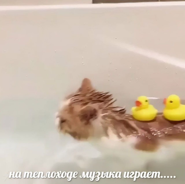 Всего понемногу. Часть 12.