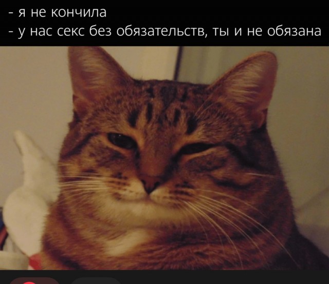 Муж и жена - одна шаурма