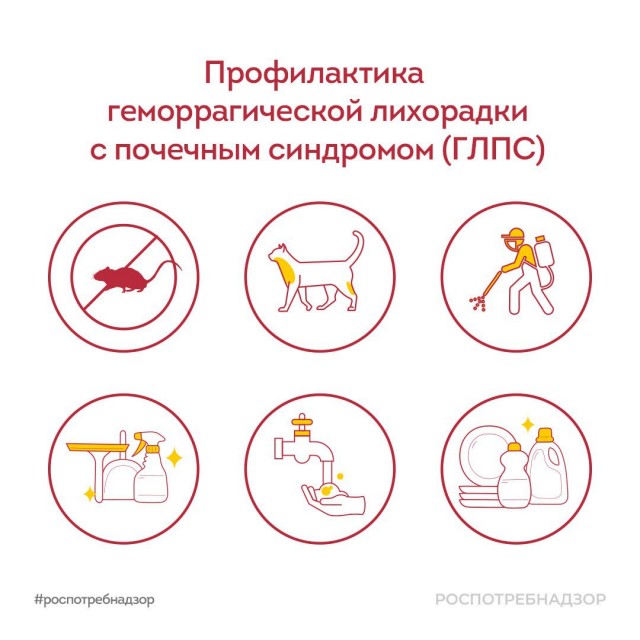 Победная поступь идиотизма по планете – том 14