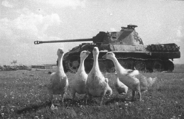 Подборка фотографий Великой Отечественной войны. Часть 2