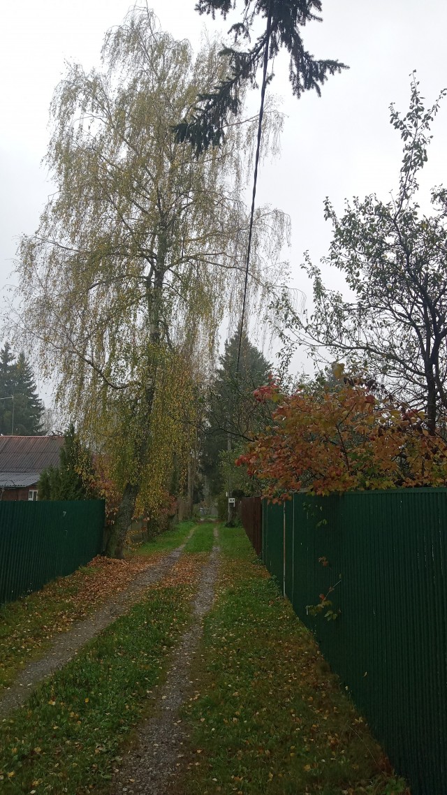 Краски осени
