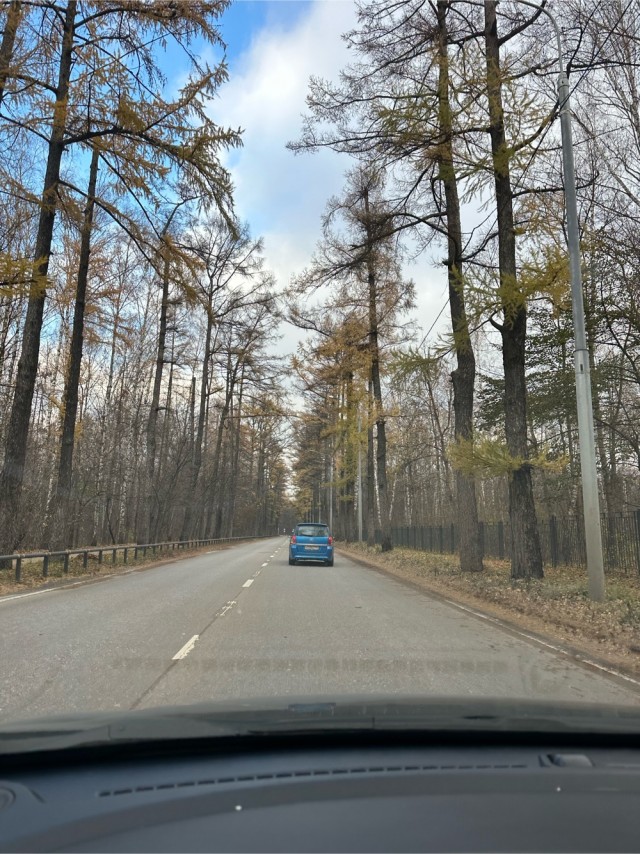 Самая последняя в галерее