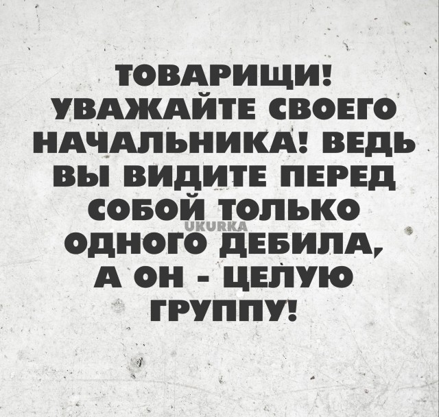 Нуштош 23.11.2023